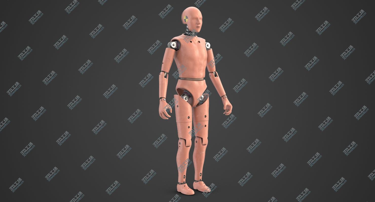 images/goods_img/20210319/Crash Test Dummy 1 3D model/2.jpg